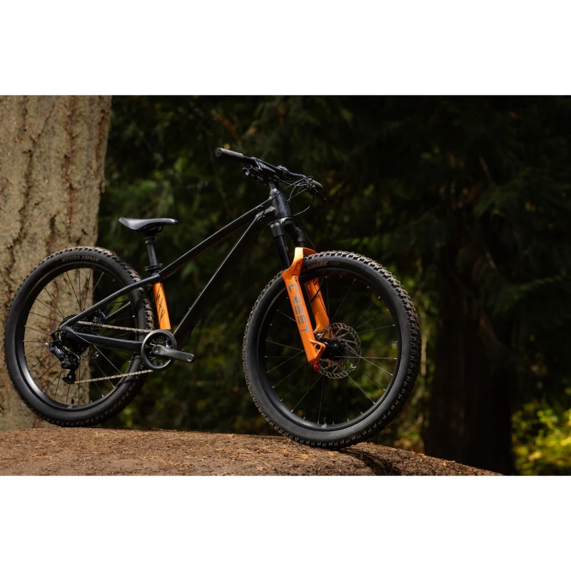 Giant MY26 STP 24 Giant - Image 18